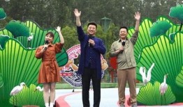 菜鸟爆料吃鸡视频大全最新,吃鸡视频大全，带你领略绝地求生精彩瞬间